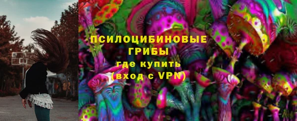 спайс Алексеевка